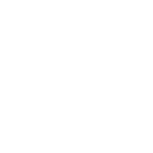 Emerging Economies icon